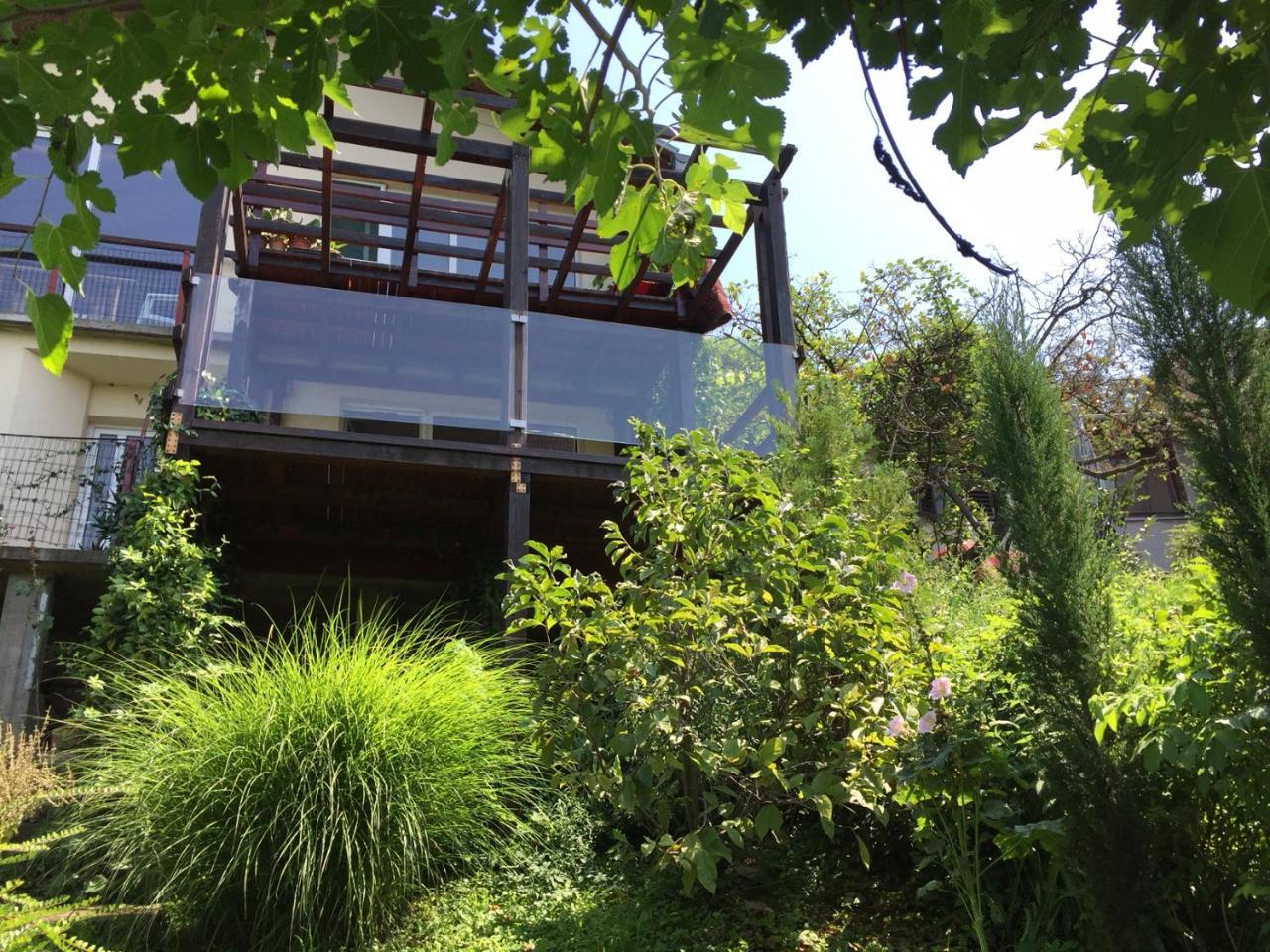 Pergola House In A Green Oasis With Fantastic View Apartment Petrovaradin Exterior photo